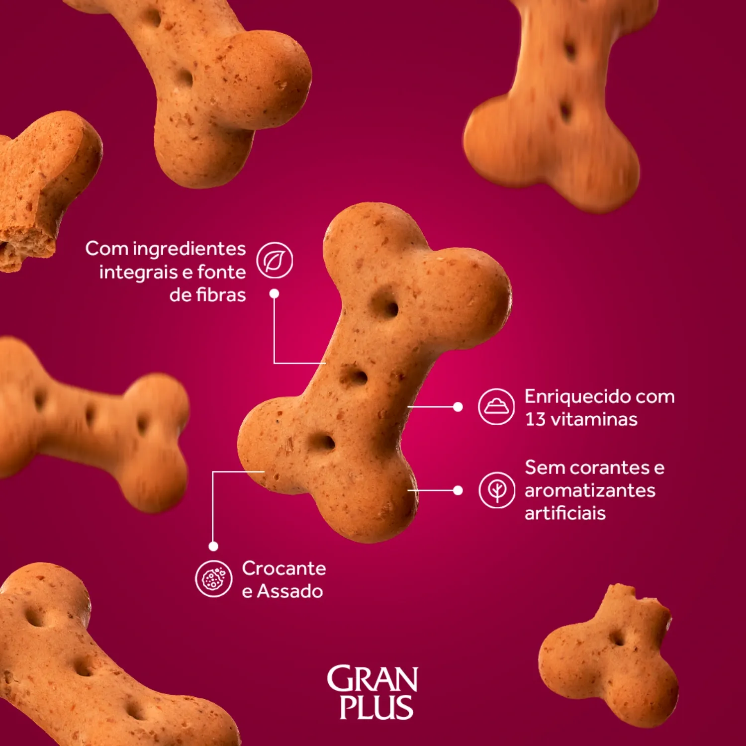 Biscoito GranPlus Caes Adultos Carne 7